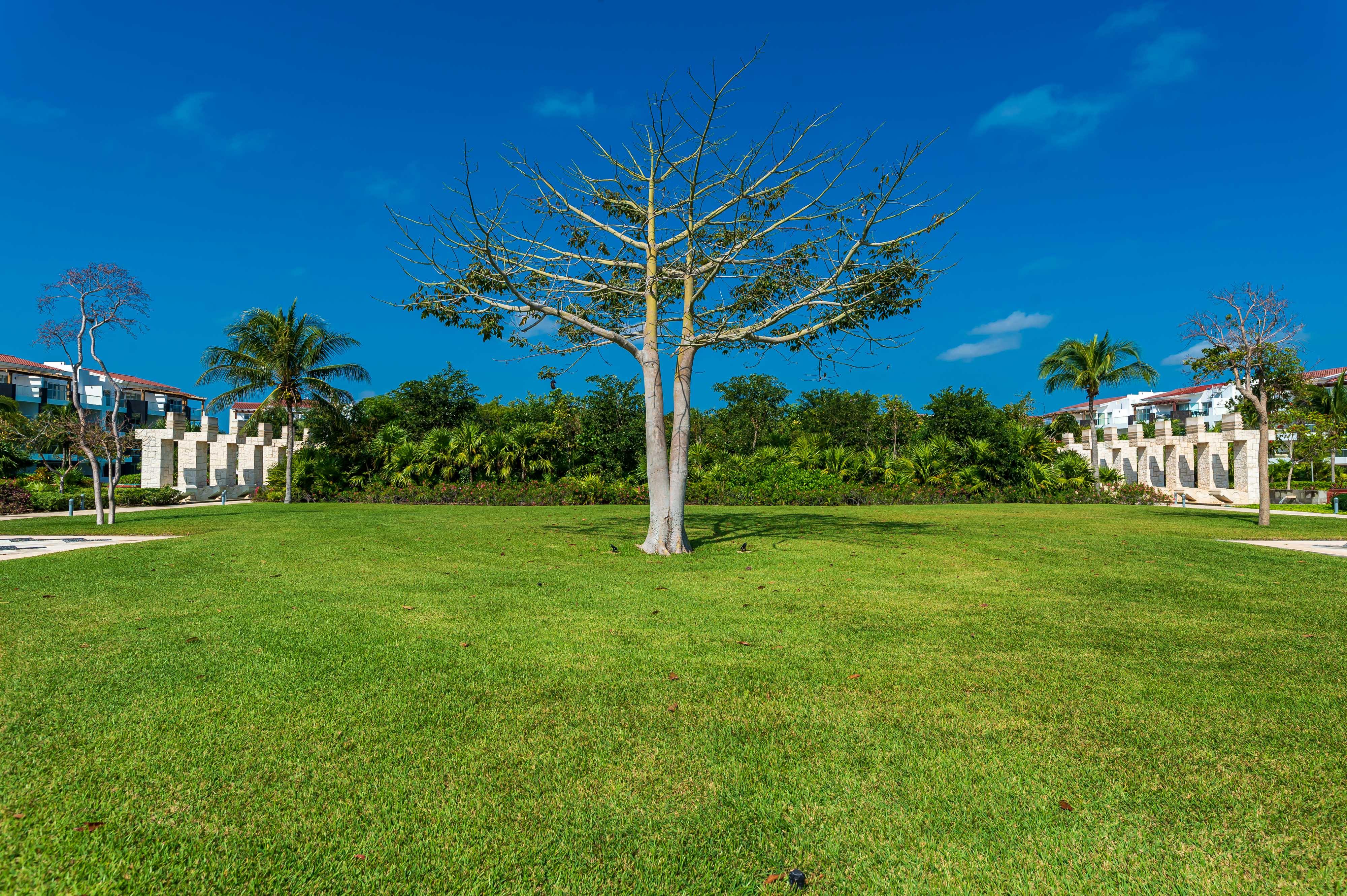 Mareazul Beach Front Resort Playa Del Carmen Exterior foto
